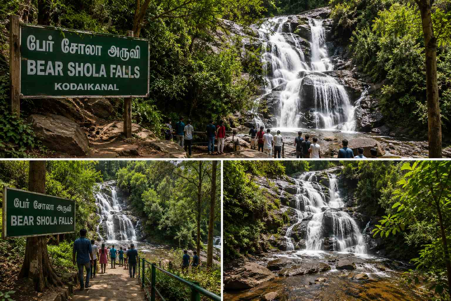 Bear Shola Falls waterfall