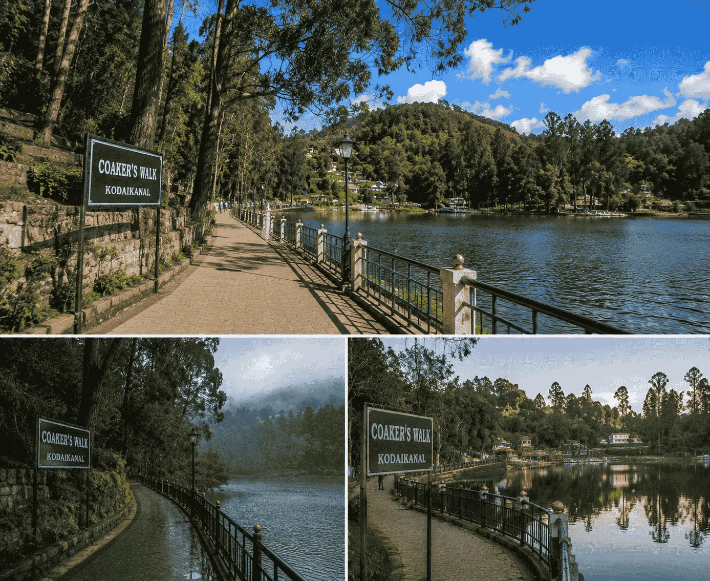 Coakers Walk scenic viewpoint
