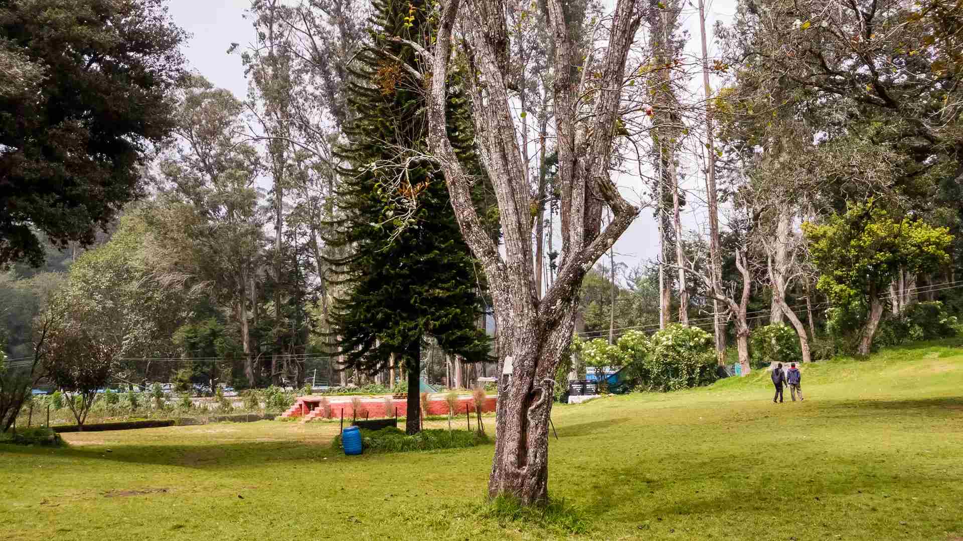Kodaikanal cab service for sightseeing