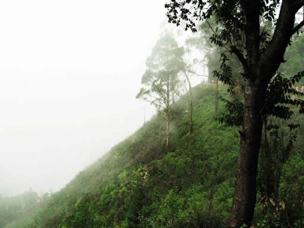 Green Valley View Kodaikanal